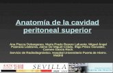 Anatomía de la cavidad peritoneal superior