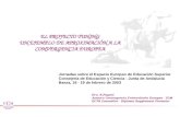 EL PROYECTO TUNING UN EJEMPLO DE APROXIMACIÓN A LA CONVERGENCIA EUROPEA