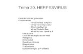 Tema 20. HERPESVIRUS