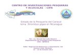 CENTRO DE INVESTIGACIONES PESQUERAS Y ACUICOLAS  - CIPA