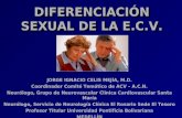 DIFERENCIACIÓN SEXUAL DE LA E.C.V.