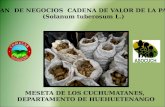 PLAN  DE NEGOCIOS  CADENA DE VALOR DE LA PAPA ( Solanum tuberosum  L.)