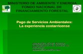 MINISTERIO DE AMBIENTE Y ENERGIA FONDO NACIONAL DE  FINANCIAMIENTO FORESTAL