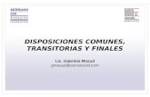 DISPOSICIONES COMUNES, TRANSITORIAS Y FINALES Lic. Gabriela Masud gmasud@serranocid