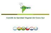 Comité de Sanidad Vegetal del Cono Sur