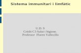 Sistema immunitari i limfàtic