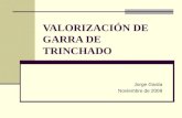 VALORIZACIÓN DE GARRA DE TRINCHADO
