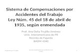 Prof. Ana Delia Trujillo-Jiménez Univ. Interamericana de PR Recinto de Fajardo BADM 4340