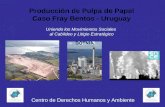 Producción de Pulpa de Papel Caso Fray Bentos - Uruguay