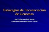 Estrategias de Secuenciación de Genomas