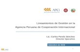 Lineamientos de Gestión en la Agencia Peruana de Cooperación Internacional