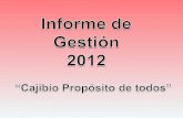 Informe de Gestión  2012