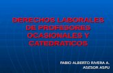 DERECHOS LABORALES DE PROFESORES OCASIONALES Y CATEDRATICOS
