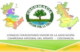 Consejo Comunitario Mayor de la Asociación Campesina Integral del  Atrato   –   COCOMACIA
