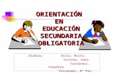 ORIENTACIÓN  EN  EDUCACIÓN SECUNDARIA OBLIGATORIA