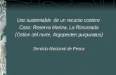 Uso sustentable  de un recurso costero  Caso: Reserva Marina, La Rinconada