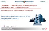 “Programa COMPITE: hacia la transformación competitiva. Una Estrategia de País”