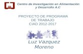 PROYECTO DE PROGRAMA DE TRABAJO CIAD 2012-2017