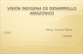 Visión Indígena de Desarrollo Amazónico