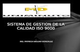SISTEMA DE GESTION DE LA CALIDAD ISO 9000 .