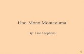 Uno Mono  Montezuma