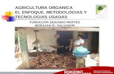 AGRICULTURA ORGANICA EL ENFOQUE, METODOLOGIAS Y TECNOLOGIAS USADAS