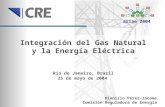 Integración del Gas Natural y la Energía Eléctrica