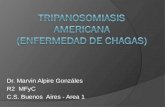 TRIPANOSOMiaSIS  AMERICANA (ENFERMEDAD DE CHAGAS)