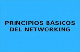 PRINCIPIOS BÁSICOS DEL NETWORKING