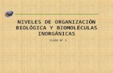NIVELES DE ORGANIZACIÓN BIOLÓGICA Y BIOMOLÉCULAS INORGÁNICAS CLASE Nº 1