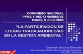 CONGRESO NACIONAL PYME Y MEDIO AMBIENTE Estella, 5 Junio 2009