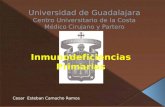 Universidad de Guadalajara Centro Universitario de la Costa Médico Cirujano y Partero