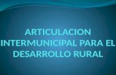 ARTICULACION INTERMUNICIPAL PARA EL DESARROLLO RURAL