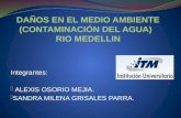 DAÑOS EN EL MEDIO AMBIENTE (CONTAMINACIÓN DEL AGUA)   RIO MEDELLIN