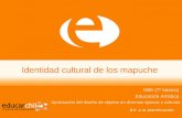 Identidad cultural de los mapuche