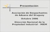 Presentación  Asociación de Despachantes de Aduana del Uruguay Octubre 2006