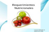Requerimientos  Nutricionales