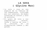 LA SOYA  (  Glycine  Max)