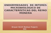 Endermedades  de interés microbiológico de características del reino mónera
