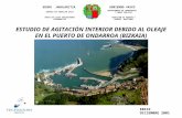 ESTUDIO DE AGITACIÓN INTERIOR DEBIDO AL OLEAJE EN EL PUERTO DE ONDARROA (BIZKAIA)