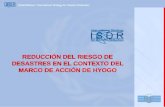 REDUCCIÓN DEL RIESGO DE DESASTRES EN EL CONTEXTO DEL MARCO DE ACCIÓN DE HYOGO