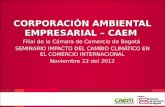 CORPORACIÓN AMBIENTAL EMPRESARIAL – CAEM  Filial de la Cámara de Comercio de Bogotá