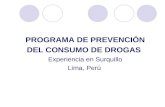 PROGRAMA DE PREVENCIÓN DEL CONSUMO DE DROGAS