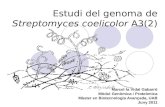 Estudi del genoma de  Streptomyces coelicolor  A3(2)