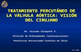 TRATAMIENTO PERCUTÁNEO DE LA VÁLVULA AÓRTICA: VISIÓN DEL CIRUJANO