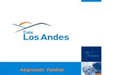 ASIGNACION FAMILIAR PRESTACIONES ADICIONALES GERENCIA DE OPERACIONES C.C.A.F. DE LOS ANDES