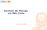 Gestión de Riesgo  en ING Chile