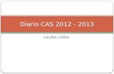 Diario CAS 2012 - 2013