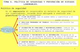 TEMA 6. POLÍTICA DE SEGURIDAD Y PREVENCIÓN DE RIESGOS                 LABORABLES.
