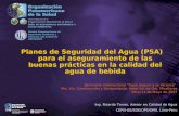 Ing. Ricardo Torres, Asesor en Calidad de Agua CEPIS-BS/SDE/OPS/OMS, Lima-Peru